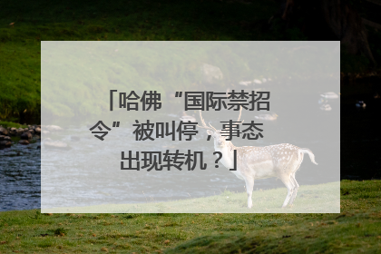 哈佛“国际禁招令”被叫停，事态出现转机？