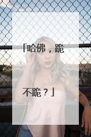 哈佛，跪不跪？