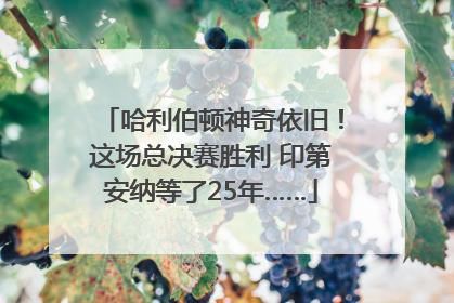 哈利伯顿神奇依旧！这场总决赛胜利 印第安纳等了25年……