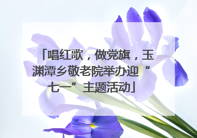 唱红歌，做党旗，玉渊潭乡敬老院举办迎“七一”主题活动