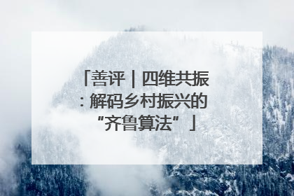 善评｜四维共振：解码乡村振兴的“齐鲁算法”