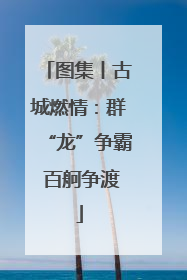 图集丨古城燃情：群“龙”争霸 百舸争渡