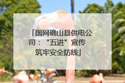 国网确山县供电公司：“五进”宣传 筑牢安全防线