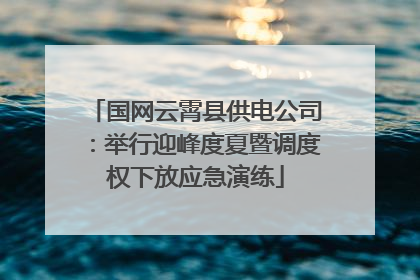 国网云霄县供电公司：举行迎峰度夏暨调度权下放应急演练