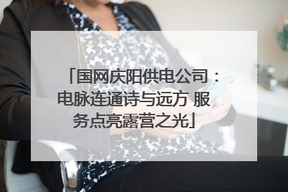 国网庆阳供电公司：电脉连通诗与远方 服务点亮露营之光