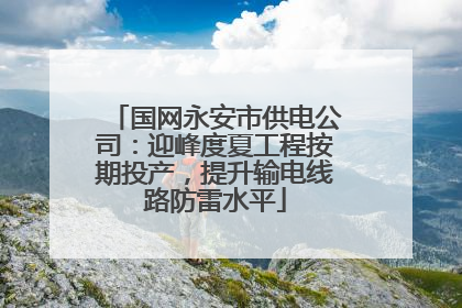 国网永安市供电公司：迎峰度夏工程按期投产，提升输电线路防雷水平