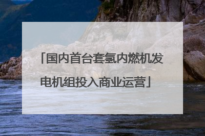 国内首台套氢内燃机发电机组投入商业运营