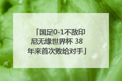 国足0-1不敌印尼无缘世界杯 38年来首次败给对手