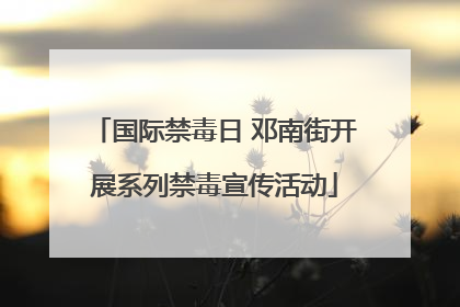 国际禁毒日 邓南街开展系列禁毒宣传活动