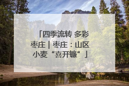 四季流转 多彩枣庄｜枣庄：山区小麦“喜开镰”
