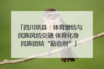 四川珙县：体育激情与民族风情交融 体育化身民族团结“黏合剂”