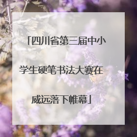 四川省第三届中小学生硬笔书法大赛在威远落下帷幕