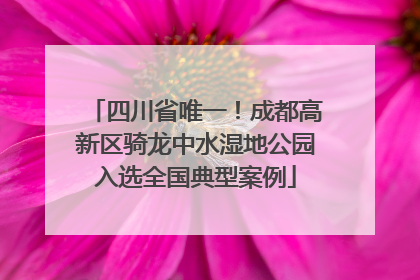 四川省唯一！成都高新区骑龙中水湿地公园入选全国典型案例