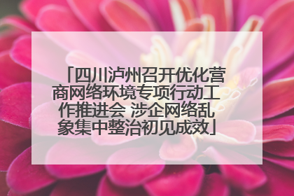四川泸州召开优化营商网络环境专项行动工作推进会 涉企网络乱象集中整治初见成效