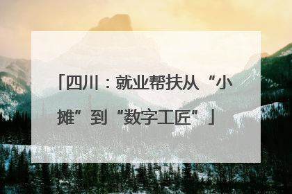 四川：就业帮扶从“小摊”到“数字工匠”