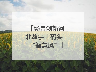 场景创新河北故事丨码头“智慧风”