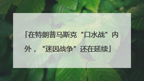 在特朗普马斯克“口水战”内外，“迷因战争”还在延续