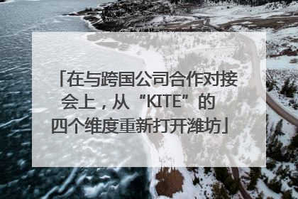 在与跨国公司合作对接会上，从“KITE”的四个维度重新打开潍坊