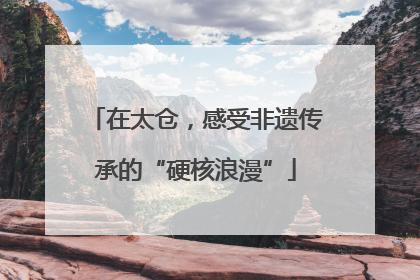 在太仓，感受非遗传承的“硬核浪漫”