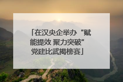 在汉央企举办“赋能提效 聚力突破”党建比武揭榜赛