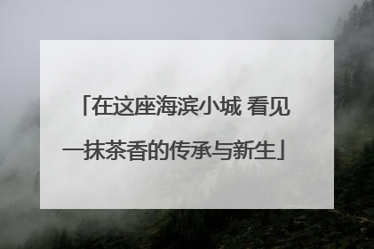 在这座海滨小城 看见一抹茶香的传承与新生