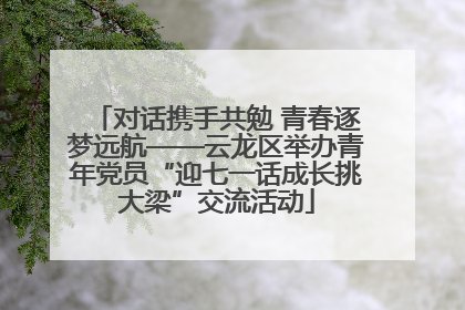 对话携手共勉 青春逐梦远航——云龙区举办青年党员“迎七一话成长挑大梁”交流活动