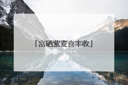 富硒紫麦喜丰收