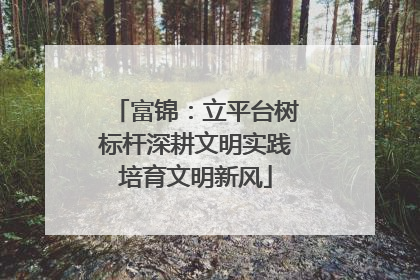 富锦：立平台树标杆深耕文明实践培育文明新风