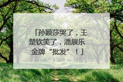 孙颖莎哭了，王楚钦笑了，潘展乐金牌“批发”！