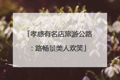 孝感有名店旅游公路：路畅景美人欢笑
