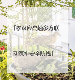 孝汉应高速多方联动筑牢安全防线