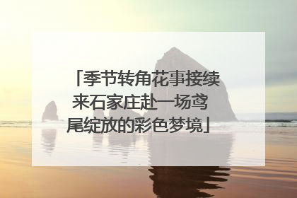 季节转角花事接续 来石家庄赴一场鸢尾绽放的彩色梦境