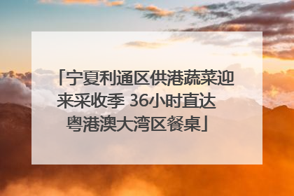 宁夏利通区供港蔬菜迎来采收季 36小时直达粤港澳大湾区餐桌