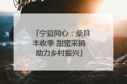 宁夏同心：桑葚丰收季 甜蜜采摘助力乡村振兴