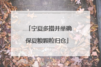 宁夏多措并举确保夏粮颗粒归仓