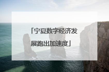 宁夏数字经济发展跑出加速度