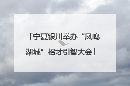 宁夏银川举办“凤鸣湖城”招才引智大会