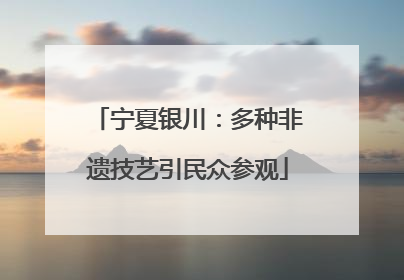 宁夏银川：多种非遗技艺引民众参观