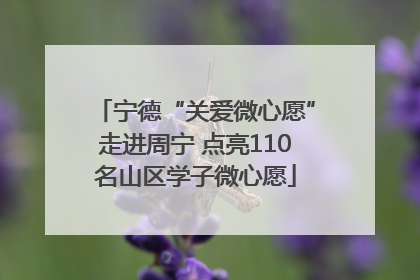 宁德“关爱微心愿”走进周宁 点亮110名山区学子微心愿