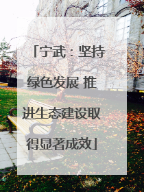 宁武：坚持绿色发展 推进生态建设取得显著成效