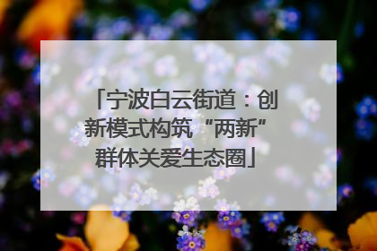 宁波白云街道：创新模式构筑“两新”群体关爱生态圈
