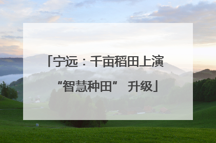 宁远：千亩稻田上演 “智慧种田” 升级