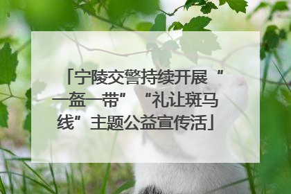 宁陵交警持续开展“一盔一带”“礼让斑马线”主题公益宣传活