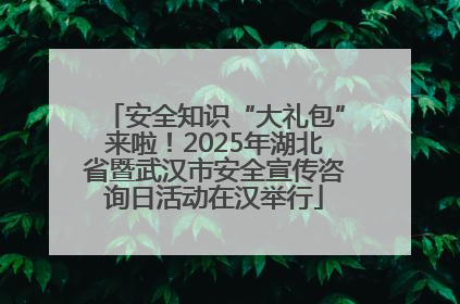 安全知识“大礼包”来啦！2025年湖北省暨武汉市安全宣传咨询日活动在汉举行