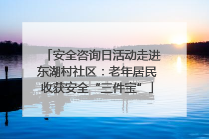 安全咨询日活动走进东湖村社区：老年居民收获安全“三件宝”