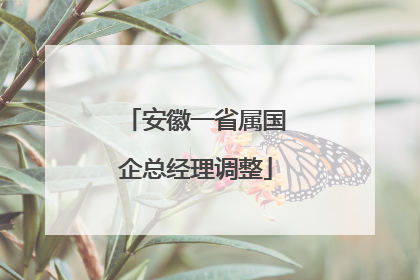 安徽一省属国企总经理调整