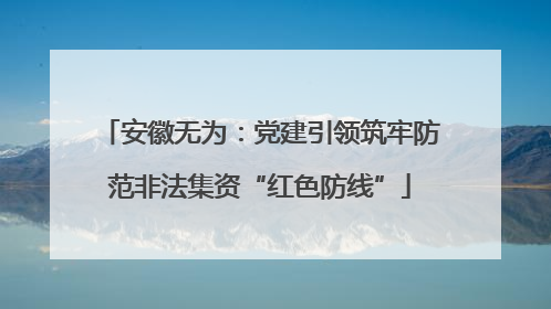 安徽无为：党建引领筑牢防范非法集资“红色防线”