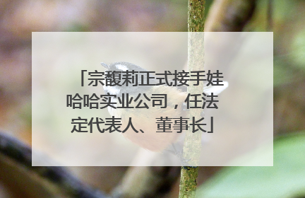 宗馥莉正式接手娃哈哈实业公司，任法定代表人、董事长