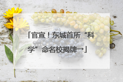 官宣！东城首所“科学”命名校揭牌→