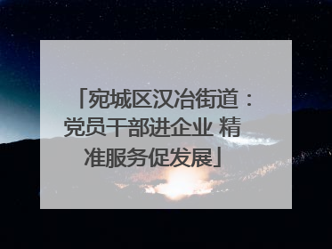宛城区汉冶街道：党员干部进企业 精准服务促发展